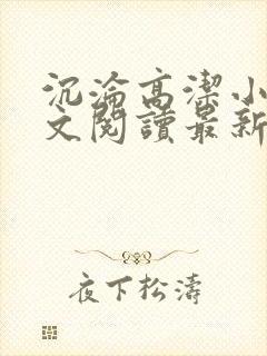 沉沦高洁小说全文阅读最新章节更新