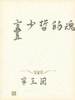 言少哲的魂环配置