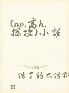 (np,高h,总攻)小说