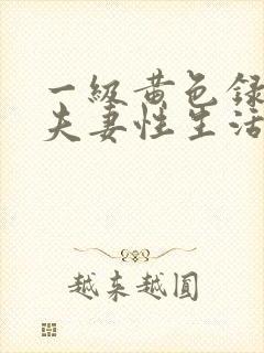 一级黄色录像.夫妻性生活
