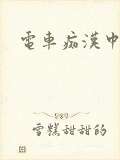 电车痴汉中字封面