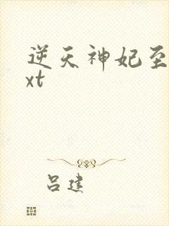 逆天神妃至上txt