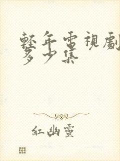 轻年电视剧一共多少集