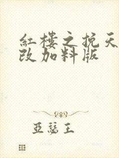 红楼之挽天倾大改加料版封面