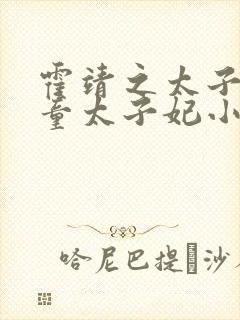 霍靖之太子崔梓童太子妃小说