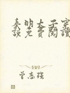 秦明太子穿越小说免费阅读封面