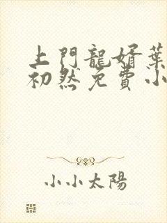上门龙婿叶辰萧初然免费小说阅读封面