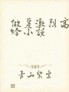 做爰激烈高潮呻吟小说