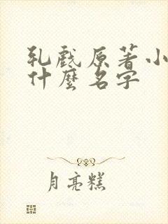 轧戏原著小说叫什么名字