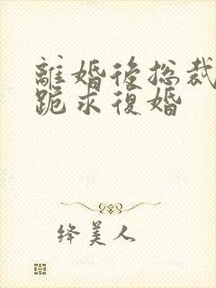 离婚后总裁天天跪求复婚封面