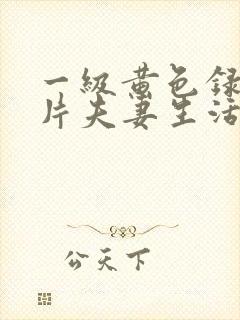 一级黄色录像影片夫妻生活影片