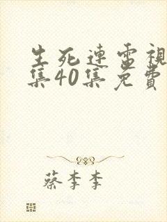 生死连电视剧全集40集免费观看高清封面