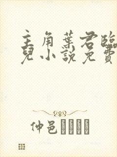 主角叶君临苏雪儿小说免费阅读
