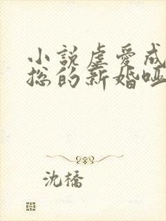 小说虐爱成宠陆总的新婚哑妻
