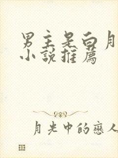 男主是白月光的小说推荐
