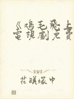 《鸡毛飞上天》电视剧免费观看