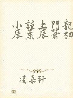 小说上门龙婿叶辰叶辰萧初然