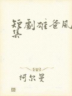短剧雄爸风云全集