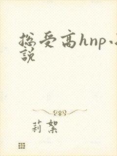 总受高hnp小说