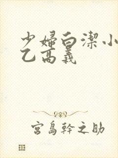 少妇白洁小说王乙高义