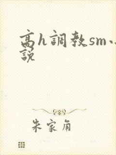 高h调教sm小说