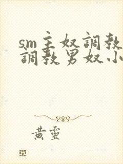 sm主奴调教:调教男奴小说