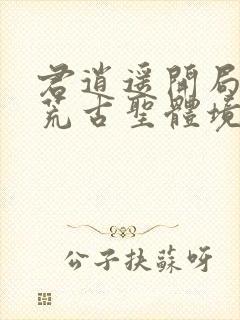 君逍遥开局签到荒古圣体境界