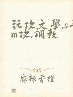 玩攻文学,s受m攻,调教