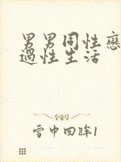 男男同性恋怎么过性生活