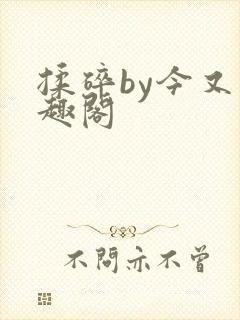 揉碎by今又笔趣阁封面
