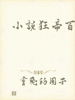 小说狂帝百美缘
