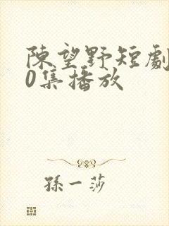 陈望野短剧第90集播放