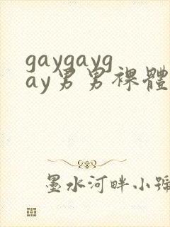 gaygaygay男男裸体