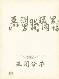 亚洲gv猛男gv**男同网站
