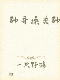 帅哥操爽帅哥