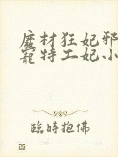 废材狂妃邪王盛宠特工妃小说
