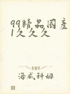 99精品国产91久久久