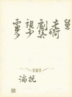 电视剧老舅总共多少集啊