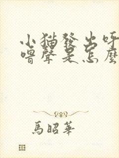 小猫发出呼噜呼噜声是怎么回事?