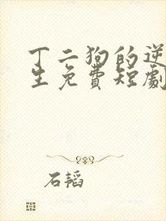 丁二狗的逆袭人生免费短剧封面