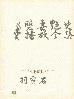 《双妻艳史》免费播放全集