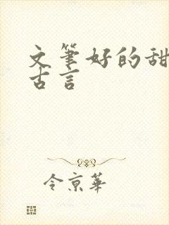 文笔好的甜宠文古言