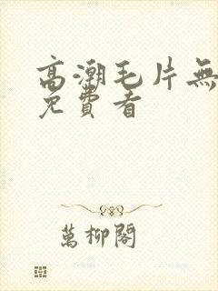 高潮毛片无遮挡免费看