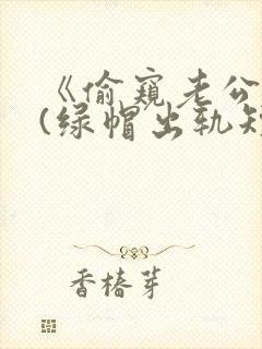 《偷窥老公出轨(绿帽出轨短篇合集)