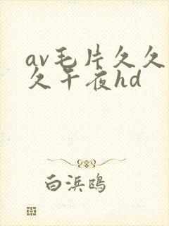 av毛片久久久久午夜hd