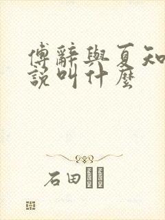 傅辞与夏知茶小说叫什么
