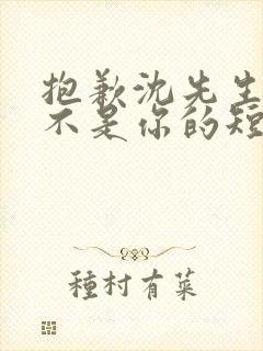 抱歉沈先生孩子不是你的短剧免费