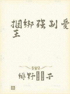 捆绑强制爱双男主