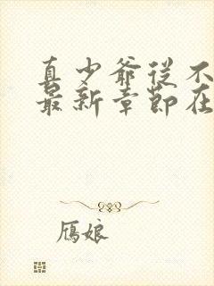 真少爷从不稀罕最新章节在线阅读