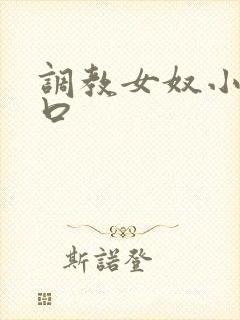 调教女奴小说重口封面